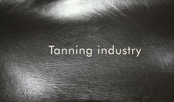 Water Treatment solutions for Tanning Industry
